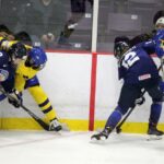 230409 finswe action