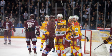 52829575623 f83a8a848b k(1)