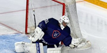 france papillonquentin2