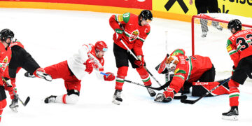 geldupaletdugardienhongroisfaceaunaccrobatedanois