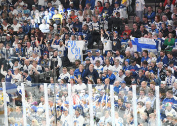 supportersfinlandais