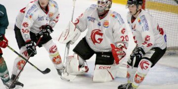 plagnat fouquerel mony