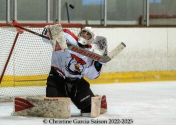 2223 courbevoie nikolic