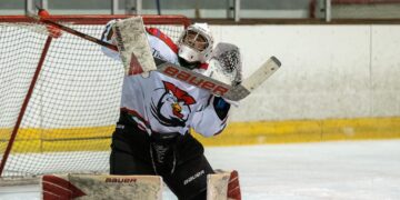 2223 courbevoie nikolic
