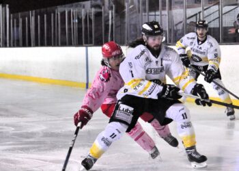 d2 valence roanne