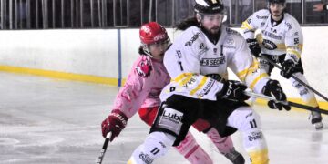 d2 valence roanne