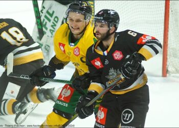 illustration rouen ilves 202310180366