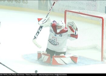 papillonquentin bordeaux 20230917136