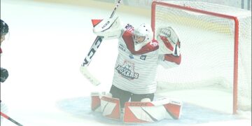 papillonquentin bordeaux 20230917136