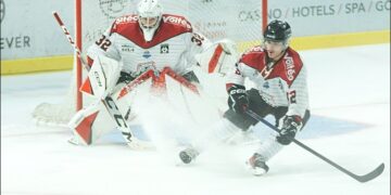 papillonquentin bordeaux 20230917442