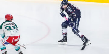 2324 angers shcherbak 11