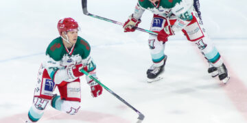 2324 anglet puffer 1