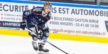 2324 angers scherbak 16