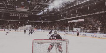 b8d6eeb5 bc1f 417d bcac 863288708a19