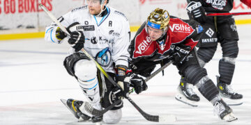 16 03 2024 slm playoffs quarts match #5 boxers de bordeaux vs spartiates de marseille