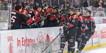 23 03 2024 slm playoffs demis match #2 boxers de bordeaux vs brûleurs de loups de grenoble