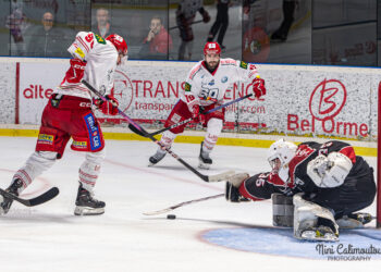 22 03 2024 slm playoffs demis match #1 boxers de bordeaux vs brûleurs de loups de grenoble