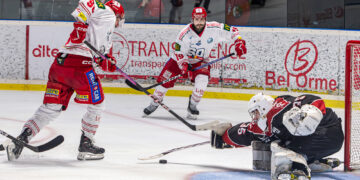 22 03 2024 slm playoffs demis match #1 boxers de bordeaux vs brûleurs de loups de grenoble
