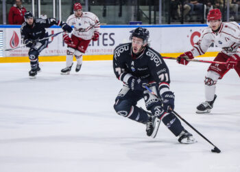 2425 angers halley 14