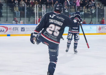 2425 angers tavernier 13