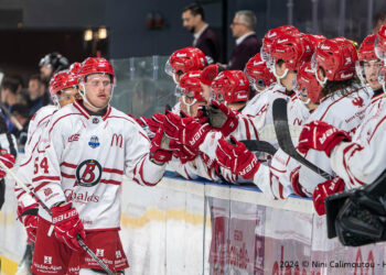 20 10 2024 slm j08 boxers de bordeaux vs diables rouges de briançon