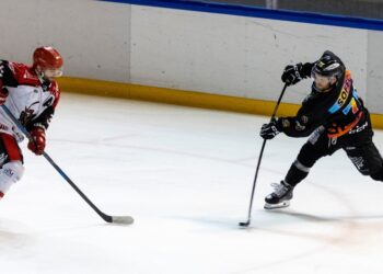 division2 roanne annecy une