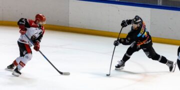 division2 roanne annecy une