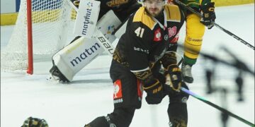 illustration rouen ilves 20241009 085