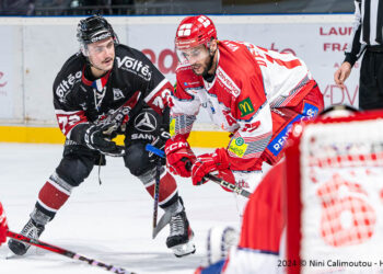 24 11 2024 slm j21 boxers de bordeaux vs bruleurs de loups de grenoble