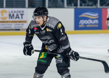 2024 2025 albatros hcmp 5