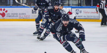 2425 angers gaborit 17