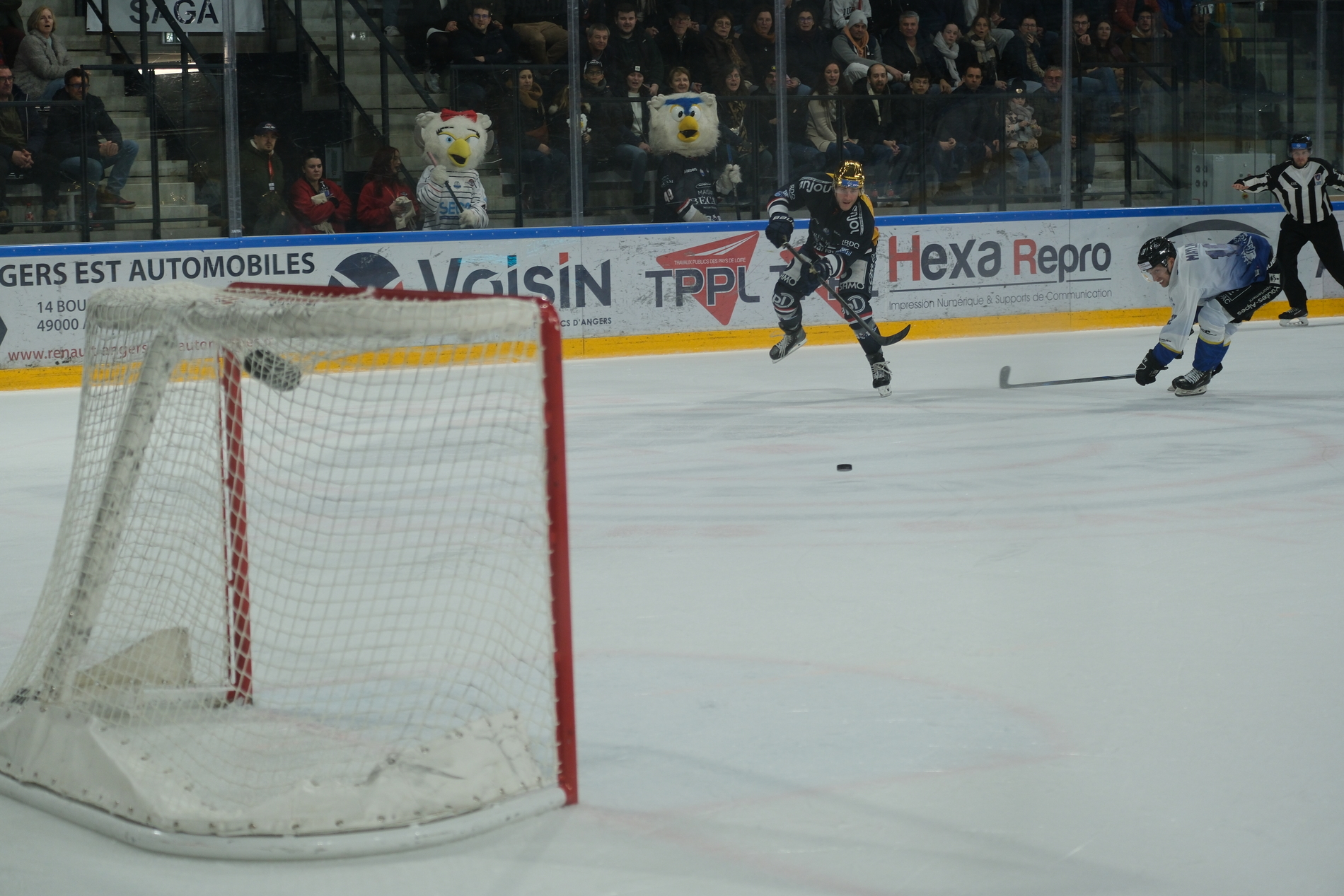 Brady Shaw, portant le casque d'or désigné au meilleur marqueur de l'équipe, s'apprêtant à marquer dans le but vide pour donner la victoire à Angers face à Gap en Ligue Magnus