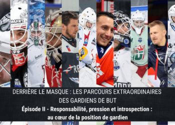 montage gardiens (2)