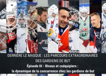 montage gardiens (3)