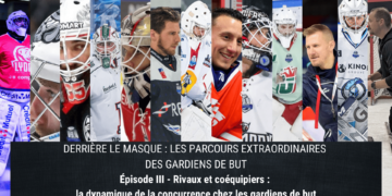 montage gardiens (3)