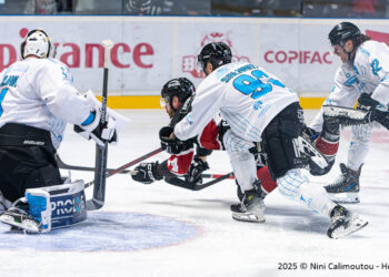 01 03 2025 slm po quart #2 boxers de bordeaux vs spartiates de marseille