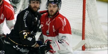 5illustration 20241228033