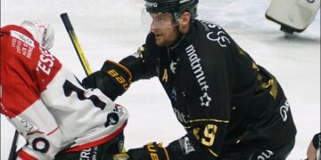 illustration 20241228200