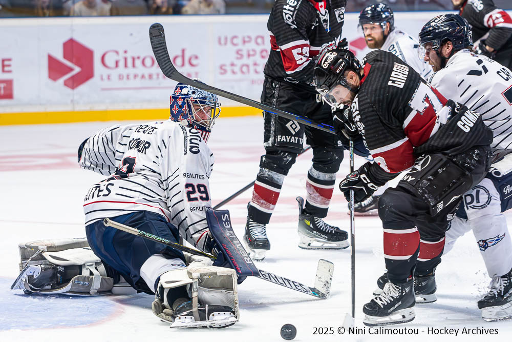 19 03 2025 slm po demi #4 boxers de bordeaux vs ducs d'angers