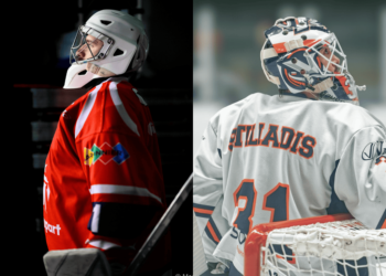 ginier vs stiliadis(1)