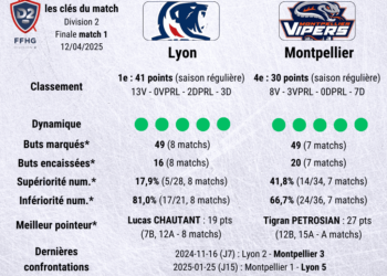 lyon montpellier match 2 250413