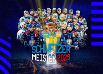 zsc schweitzer meister 2025