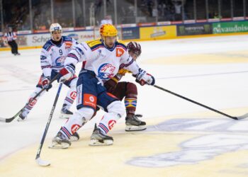 zsc gshc