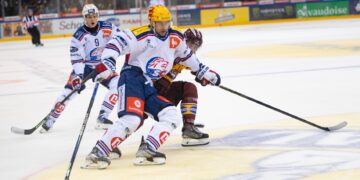 zsc gshc