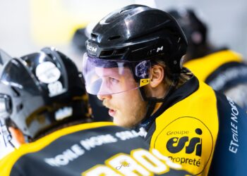 L’équipe-type de Division 1 2024-2025 désignée par les entraîneurs