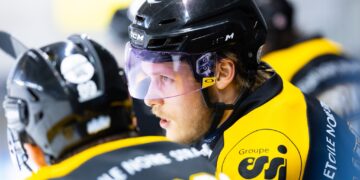 L&rsquo;équipe-type de Division 1 2024-2025 désignée par les entraîneurs