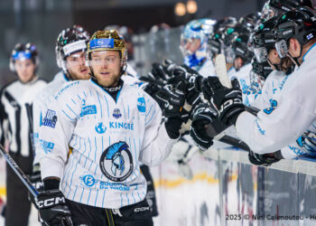 01 03 2025 slm po quart #2 boxers de bordeaux vs spartiates de marseille