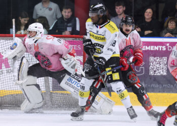 division2 mulhouse roanne