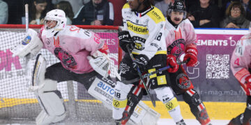 division2 mulhouse roanne