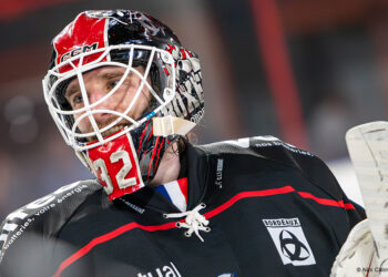 papillon quentin bordeaux dom une 01